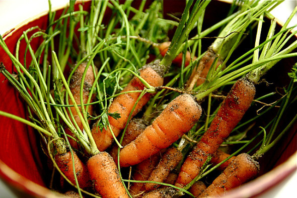 organic carrots