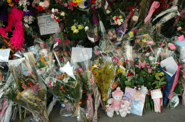Flickr Images
