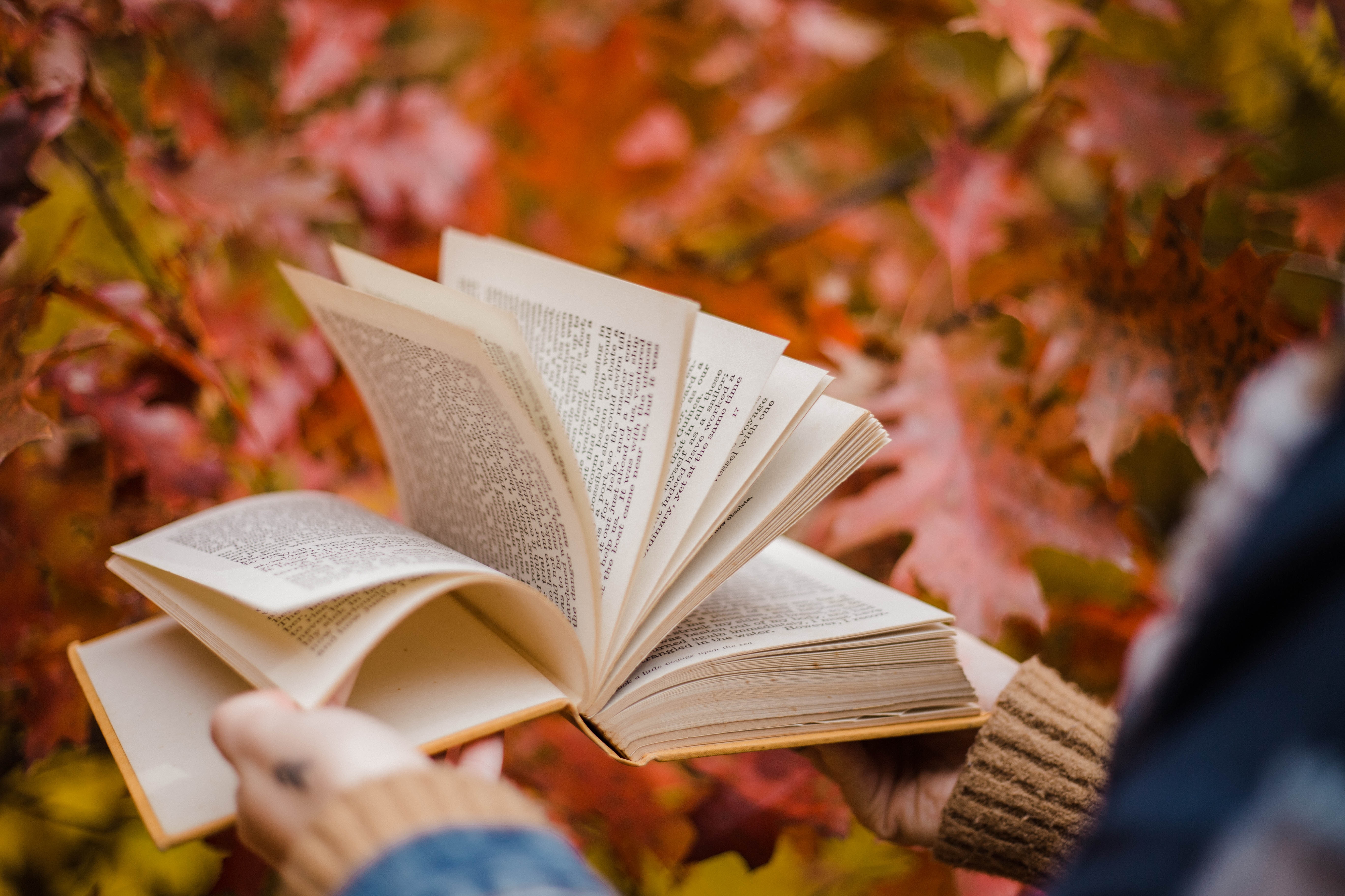 Book