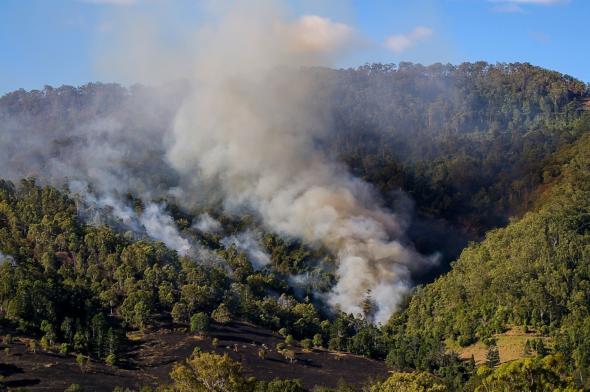 Bushfire smoke