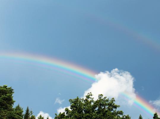 a rainbow