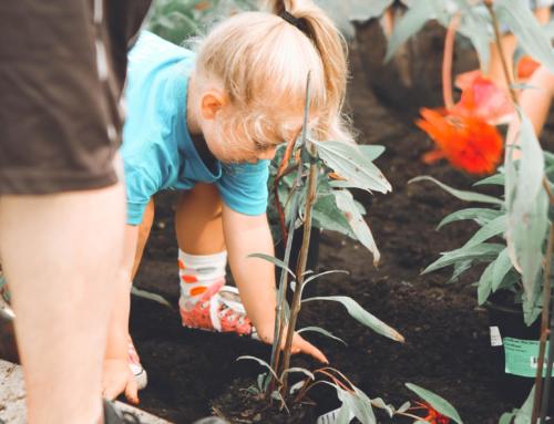 How gardening at school can tackle child obesity