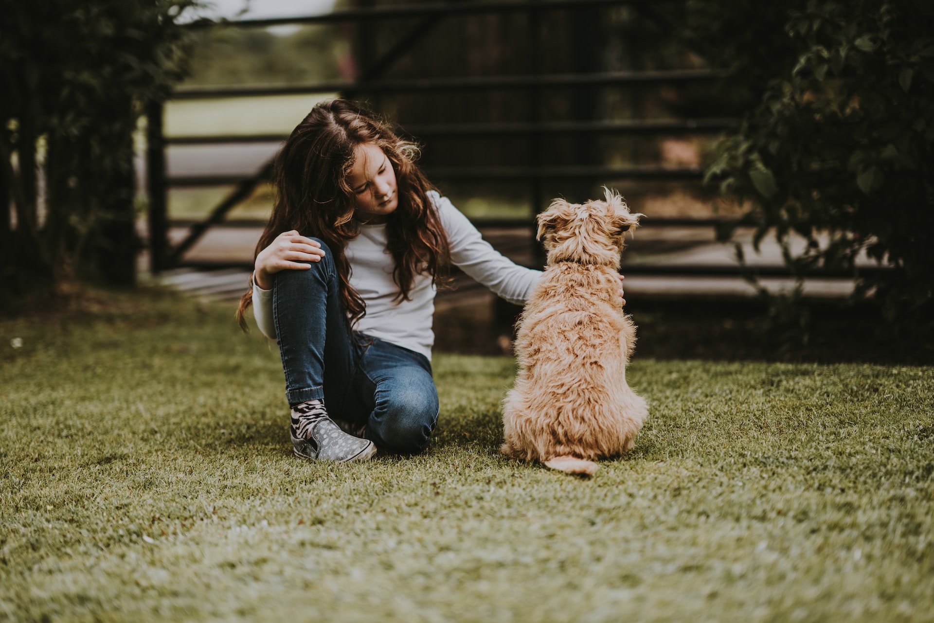 Child and dog