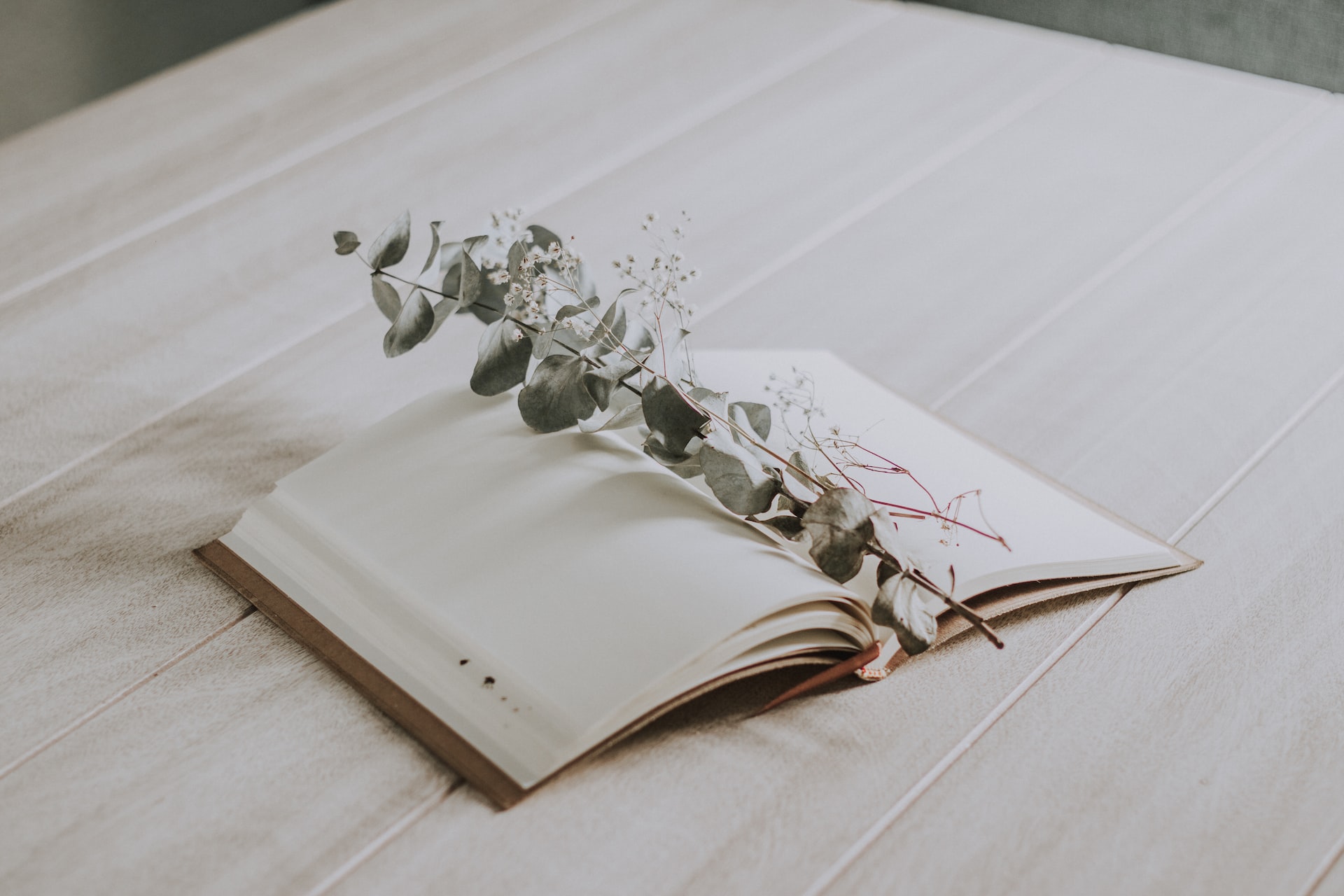 diary