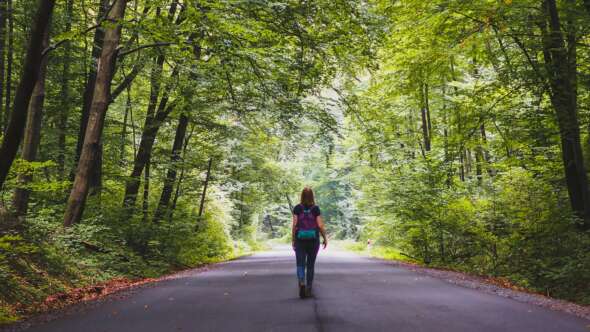 Woman with purple backpack walking on a forest trail with trees overhead