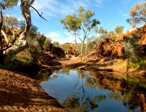 ‘Rights of nature’ are being recognised overseas. In Australia, local leadership gives cause for optimism