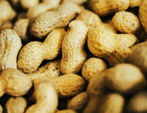 What you need to know about new treatments for children with peanut allergies