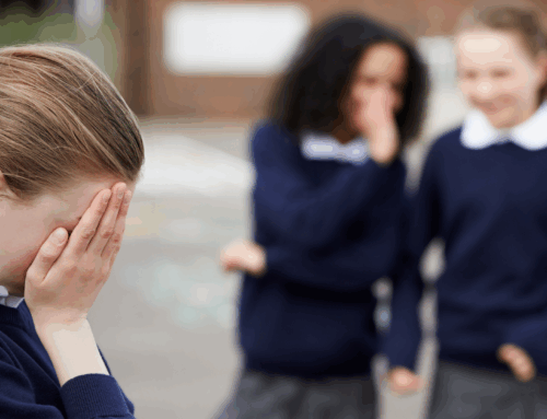School playgrounds are one of the main locations for bullying. How can they be set up to stop it?