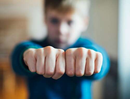 Often parents and schools disagree about whether something is ‘bullying’: what happens next?