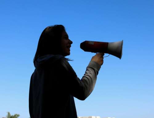 High school students are protesting against One Nation. What’s the point if they can’t vote?